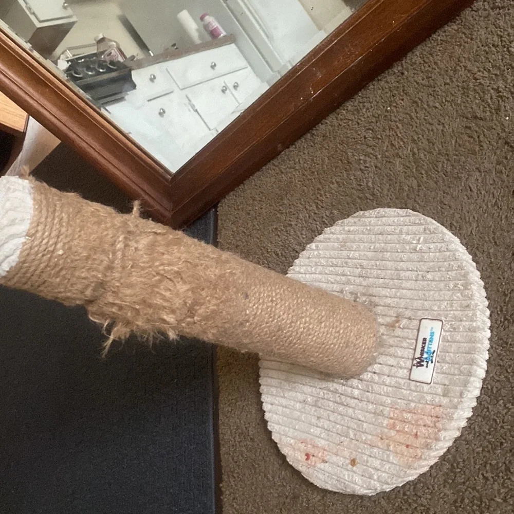 Cat scratcher very cute smells great